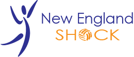 New England Shock Volleyball Logo